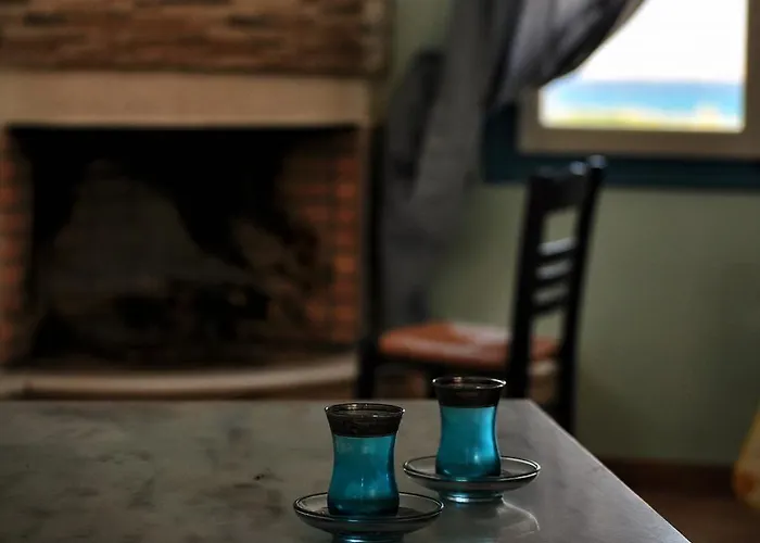 Eksohiki Katoikia Tatil Evi *